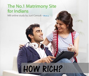 How Bharat Matrimony Makes Money Online