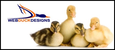 How to get services from Web Duck Designs